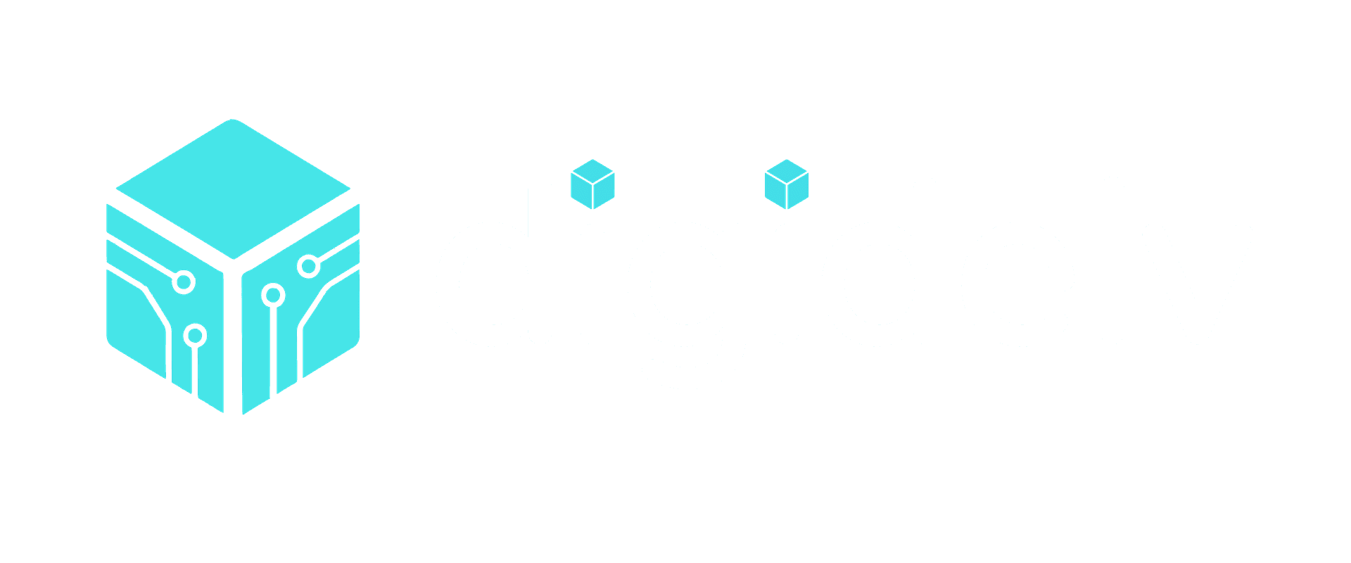 digidelv Logo Dark